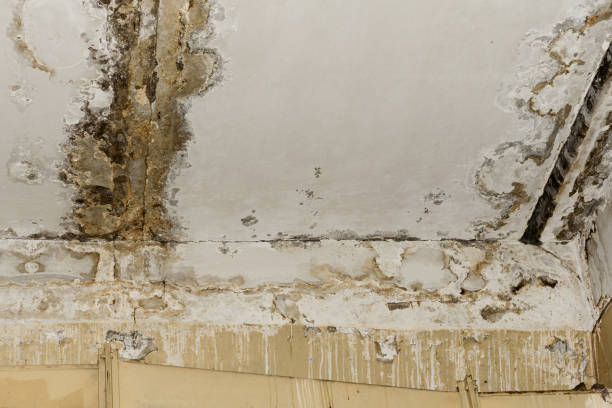 Water damage restoration process in Burgin, KY